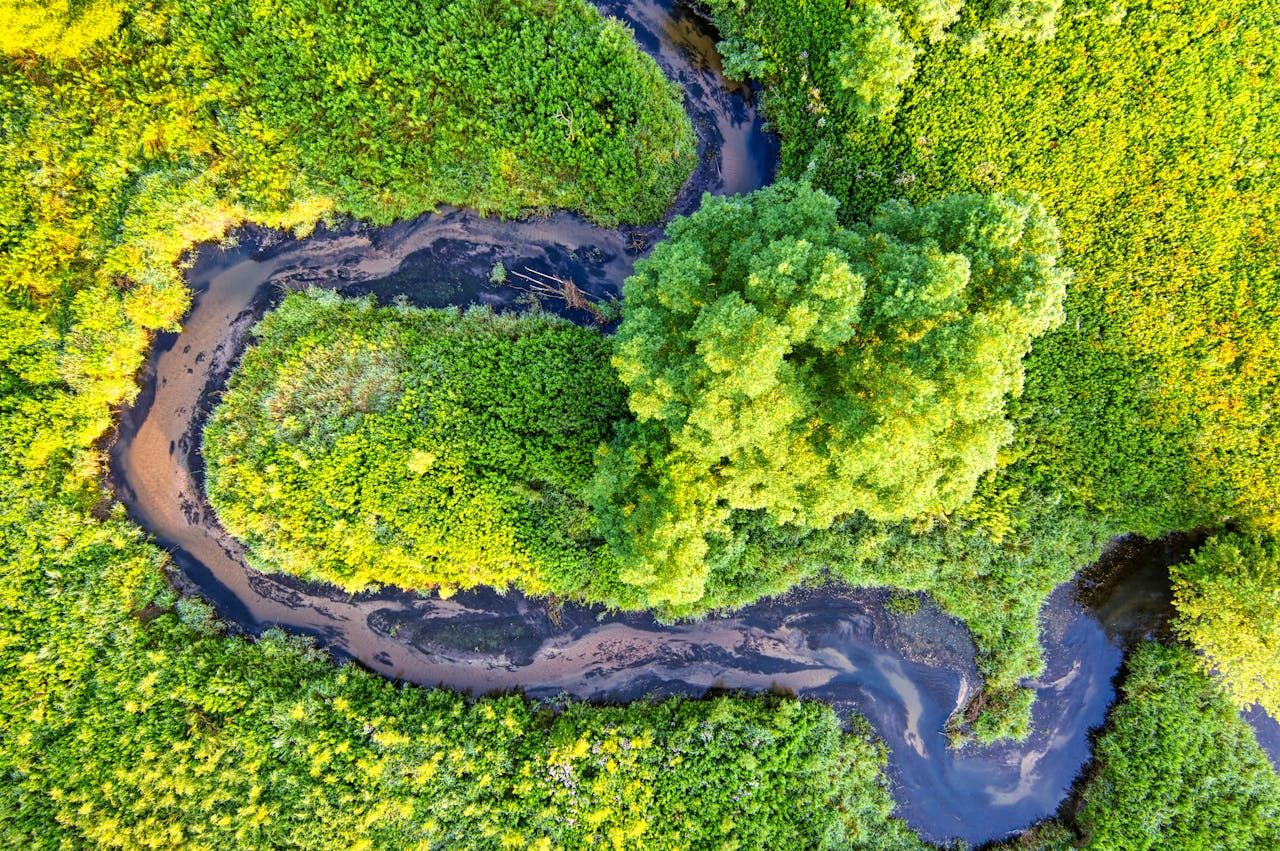 A stunning aerial view of a winding river surrounded by lush green forests in Minnesota.